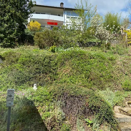 - Kunterbunt 梅舍德