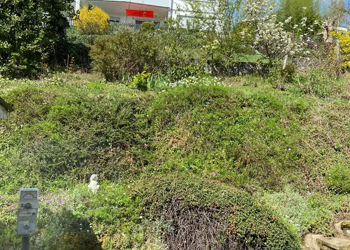 - Kunterbunt 梅舍德